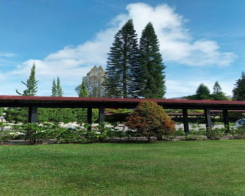 Suasana senja di taman kota